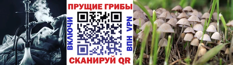 Псилоцибиновые грибы Magic Shrooms Карабаново